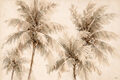 Image Not Available